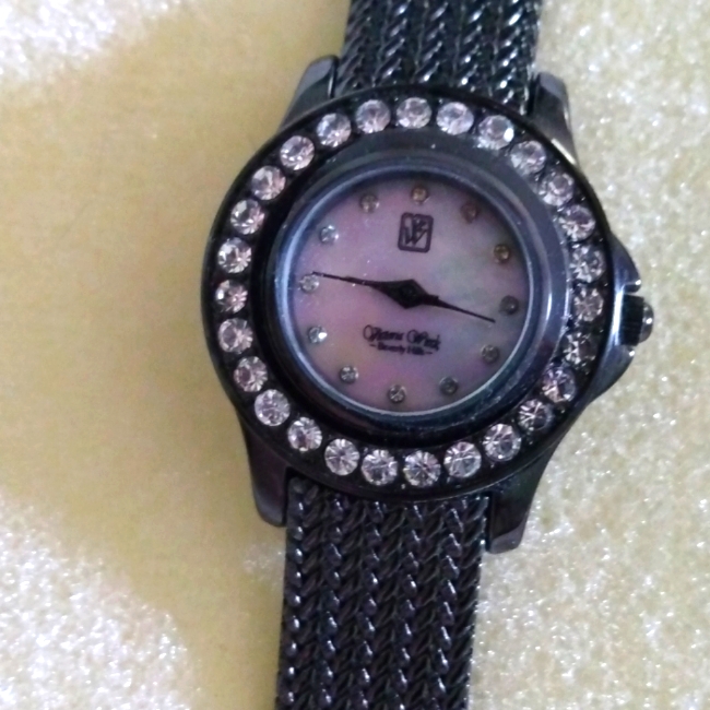 Victoria Wieck Of Beverly Hills Watch 20$
